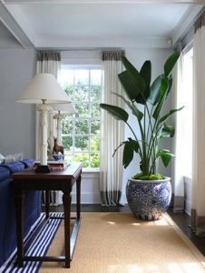 Long island interior design planter